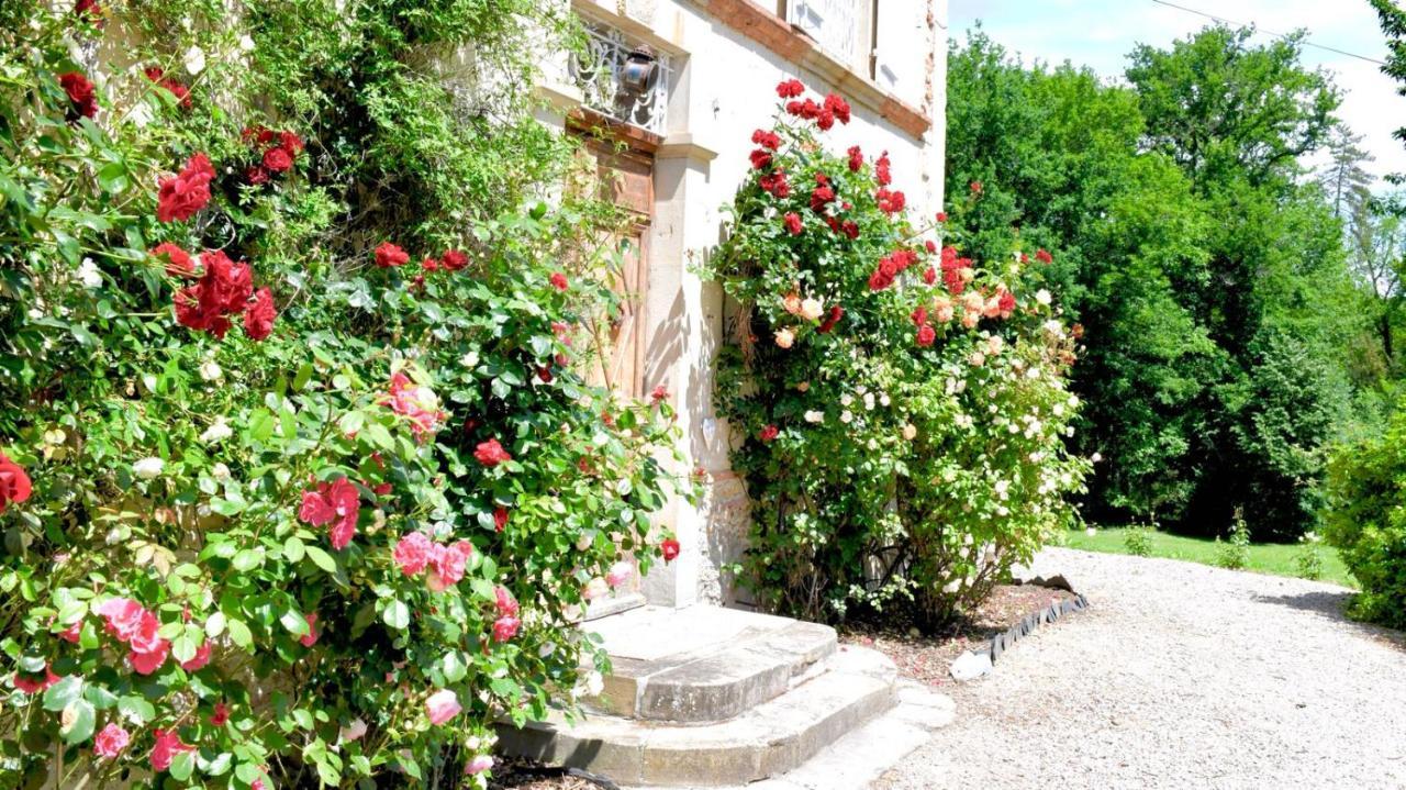 Chateau De Belespy La Bastide-de-Besplas Esterno foto